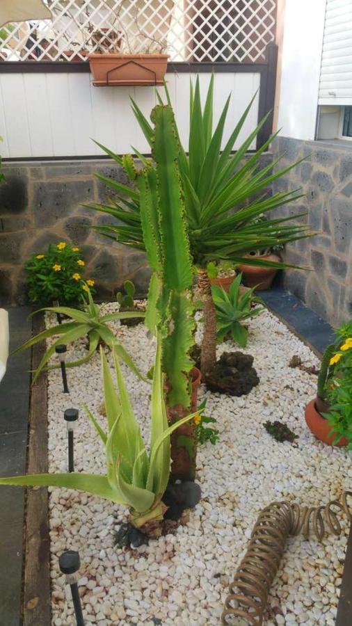 Elegant Villa In Corralejo Kültér fotó
